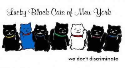 Lucky Black Cats Of Mew York - Pet Shelter and Rescue