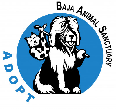 Baja Animal Sanctuary - Pet Shelter and Rescue in San Diego, California