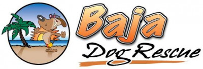 Baja Dog Rescue - Pet Shelter and Rescue in San Diego, California
