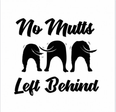 No Mutts Left Behind, Inc. - Pet Shelter and Rescue in Leicester, Massachusetts