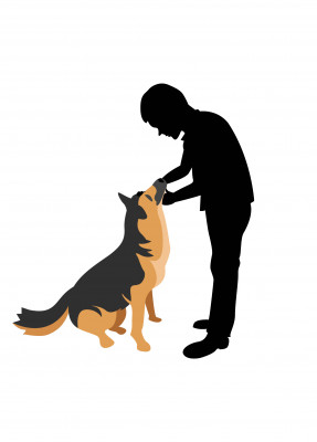 Soul 2 Soul Animal Rescue - Pet Shelter and Rescue in Roseburg, Oregon