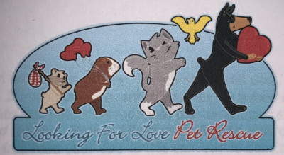 Looking For Love Pet Rescue - Pet Shelter and Rescue in Queen Creek, Arizona