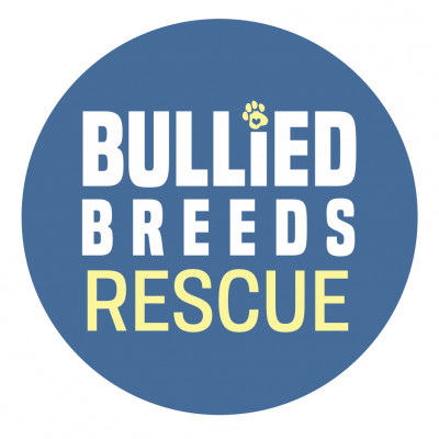 Bullied Breeds Rescue - Pet Shelter and Rescue in Billerica, Massachusetts