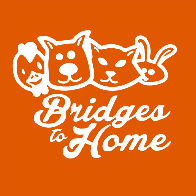 Bridges To Home - Pet Shelter and Rescue in Albuquerque, New Mexico