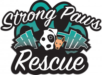 Strong Paws Rescue, Inc. - Pet Shelter and Rescue in Yonkers, New York