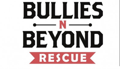 BulliesnBeyond Rescue - Pet Shelter and Rescue in Coral Springs, Florida