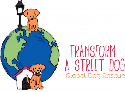 Transform A Street Dog - Pet Shelter and Rescue in Pacifica, California