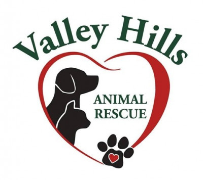 Valley Hills Animal Rescue - Pet Shelter and Rescue in Springfield, Missouri