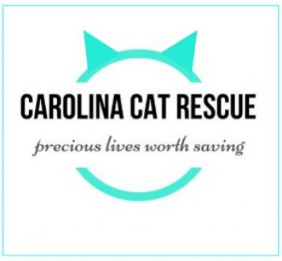 Carolina Cat Rescue - Pet Shelter and Rescue in Raleigh, North Carolina