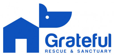 Grateful Rescue & Sanctuary - Pet Shelter and Rescue in Muncie, Indiana