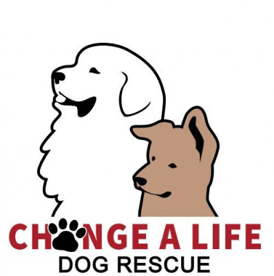 Change A Life Dog Rescue - Pet Shelter and Rescue in East Haddam, Connecticut