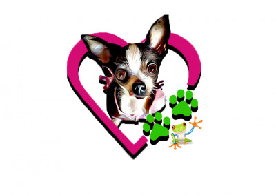 Small Breed Rescue Of Southern California - Pet Shelter and Rescue in Vista, California