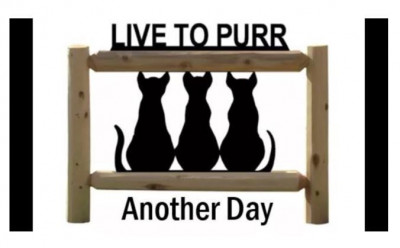 Live To Purr Another Day Rescue - Pet Shelter and Rescue in Sumterville, Florida