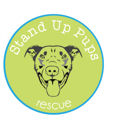 Stand Up Pups - Pet Shelter and Rescue in Marietta, Georgia