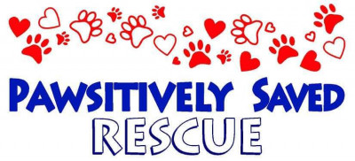 Pawsitively Saved Rescue - Pet Shelter and Rescue in Newberg, Oregon