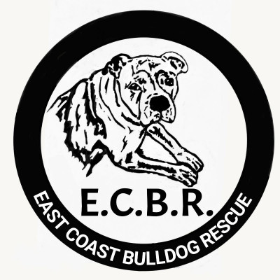 East Coast Bulldog Rescue - Pet Shelter and Rescue