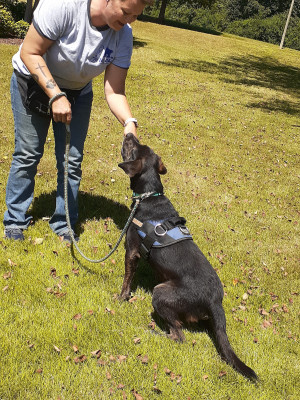 Off The Chain Training And Rescue - Pet Shelter and Rescue in Toney, Alabama