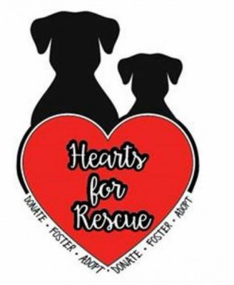Hearts For Rescue - Pet Shelter and Rescue in Poplar Bluff, Missouri