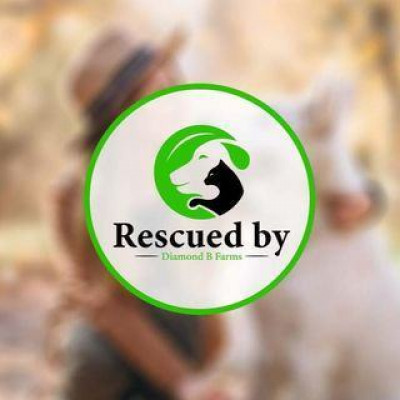 Rescued By Diamond B - Pet Shelter and Rescue in Hedgesville, West Virginia