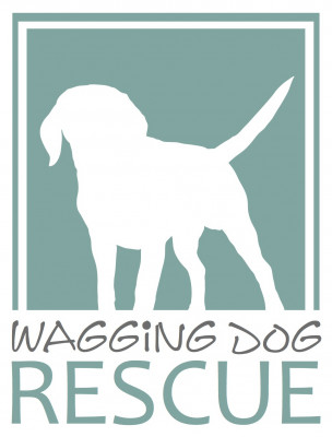 Wagging Dog Rescue - Pet Shelter and Rescue in Carlsbad, California