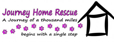Journey Home Rescue - Pet Shelter and Rescue in East Wenatchee, Washington