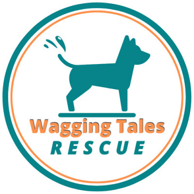 Wagging Tales Rescue - Pet Shelter and Rescue in Hilliard, Ohio