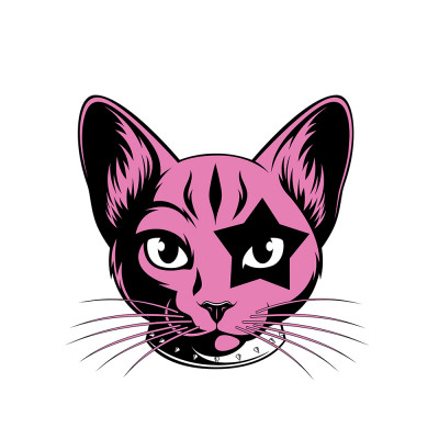 Rock Star Animal Rescue, Inc. - Pet Shelter and Rescue in Northampton, Pennsylvania