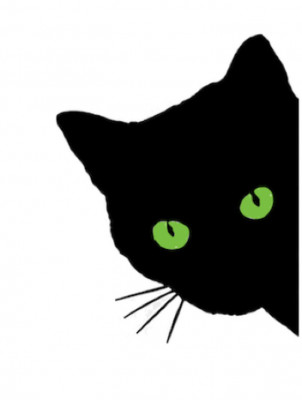 Cattyshack, Inc. - Pet Shelter and Rescue in Huntsville, Alabama