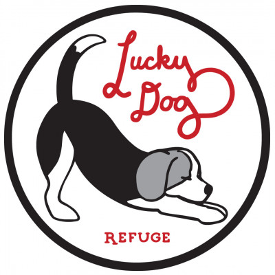 Lucky Dog Refuge - Pet Shelter and Rescue in Stamford, Connecticut