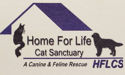 Home For Life Cat Sanctuary (HFLCS) - Pet Shelter and Rescue in Buffalo, Missouri