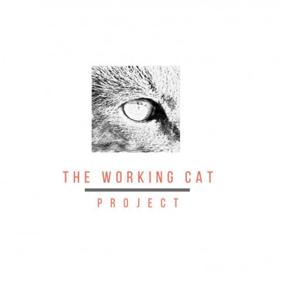 The Working Cat Project - Pet Shelter and Rescue in Hooper, Nebraska