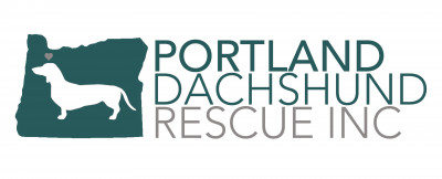 Portland Dachshund Rescue, Inc. - Pet Shelter and Rescue in Portland, Oregon