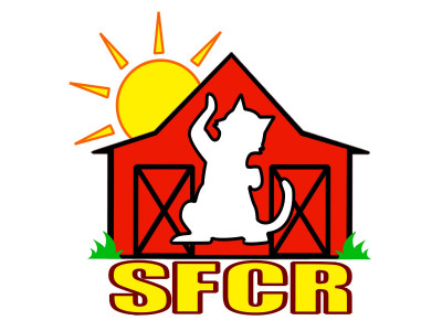 Sunshine Farm Cat Rescue - Pet Shelter and Rescue in Slippery Rock, Pennsylvania