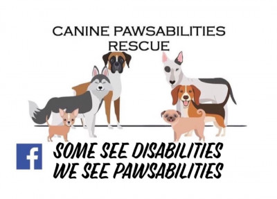 Canine Pawsabilities - Pet Shelter and Rescue in Warrenville, South Carolina