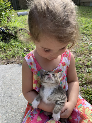 Kitty Claws Rescue Group SC - Pet Shelter and Rescue in North Myrtle Beach, South Carolina