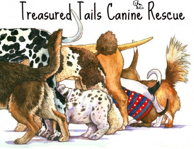 Treasured Tails Canine Rescue - Pet Shelter and Rescue in Temecula, California