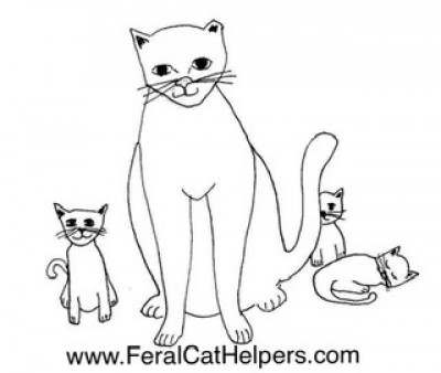 Feral Cat Helpers, Inc - Pet Shelter and Rescue in Mount Pleasant, South Carolina