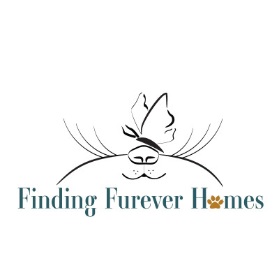 Finding Furever Homes - Pet Shelter and Rescue in Ripley, Tennessee