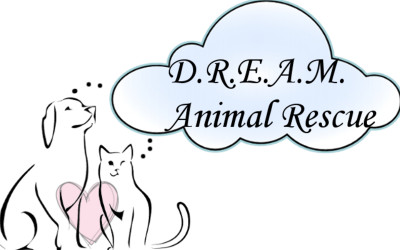 D.R.E.A.M. Animal Rescue - Pet Shelter and Rescue in Laguna Niguel, California