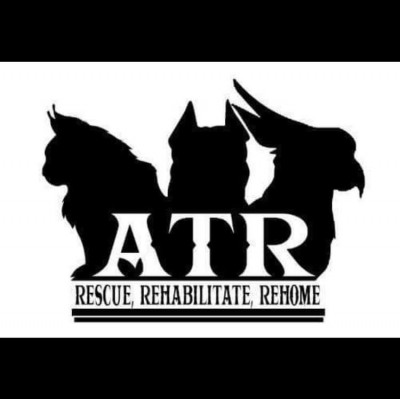 Angels Touch Rescue, Inc. - Pet Shelter and Rescue in Bonita Springs, Florida