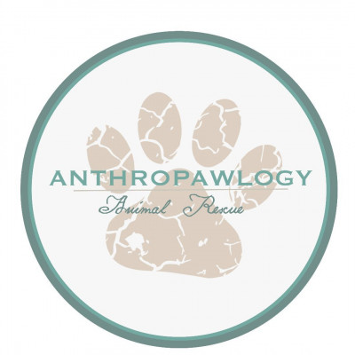 Anthropawlogy Animal Rescue - Pet Shelter and Rescue in Los Angeles, California
