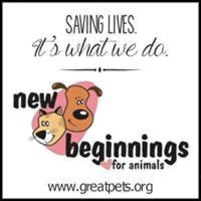 New Beginnings For Animals - Pet Shelter and Rescue in Mission Viejo, California