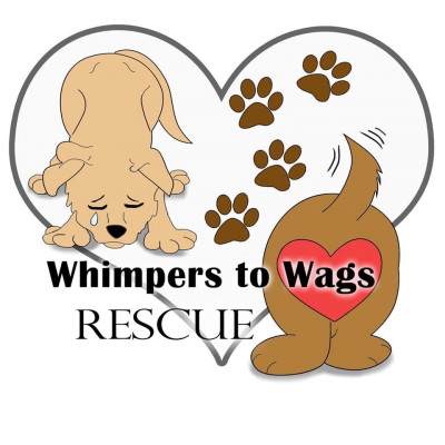 Whimpers To Wags Rescue, Inc. - Pet Shelter and Rescue in Colorado Springs, Colorado