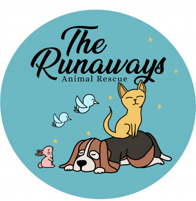 The Runaways Animal Rescue - Pet Shelter and Rescue in Port Richey, Florida