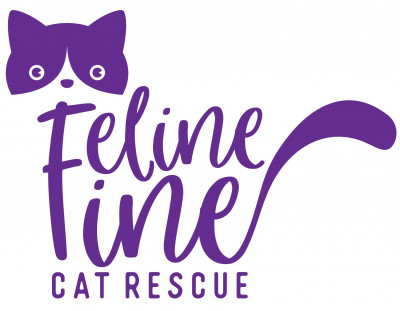 Feline Fine Cat Rescue - Pet Shelter and Rescue in Homer Glen, Illinois