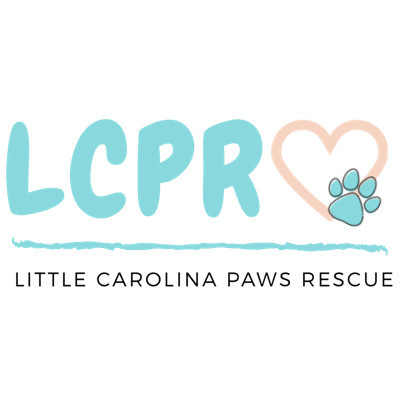 Little Carolina Paws Rescue - Pet Shelter and Rescue in West Columbia, South Carolina