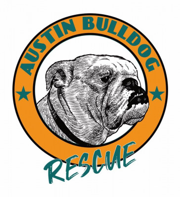 Austin Bulldog Rescue - Pet Shelter and Rescue in Austin, Texas