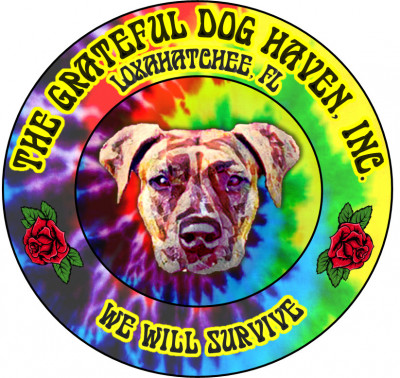 The Grateful Dog Haven, Inc. - Pet Shelter and Rescue in Royal Palm Beach, Florida