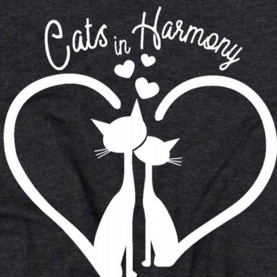 Cats In Harmony Rescue - Pet Shelter and Rescue in Apache, Oklahoma
