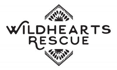 Wildhearts Rescue - Pet Shelter and Rescue in Portland, Oregon